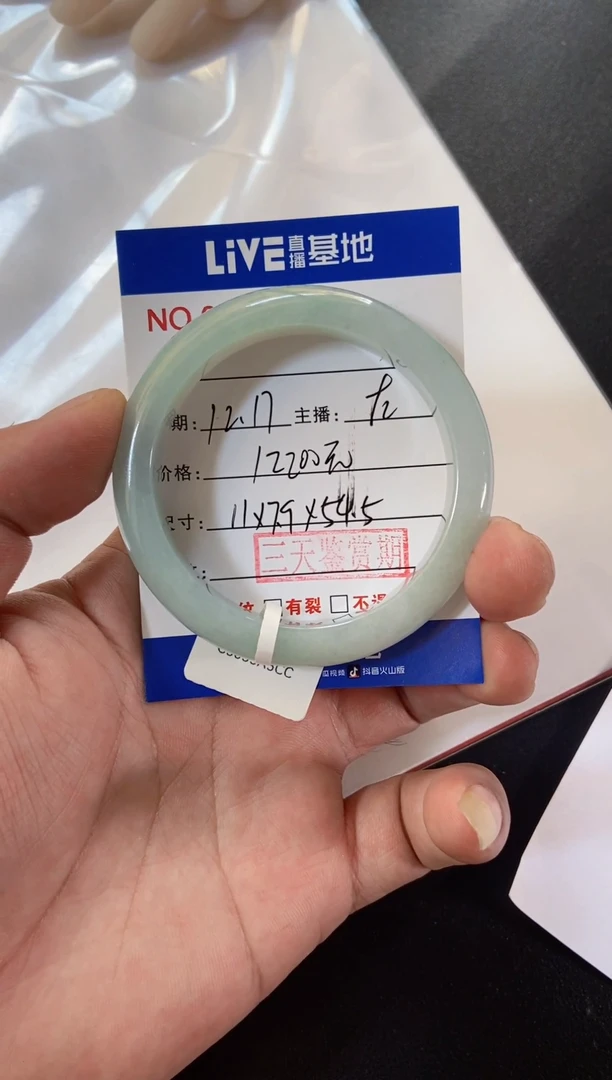 未镶嵌手镯翡翠6