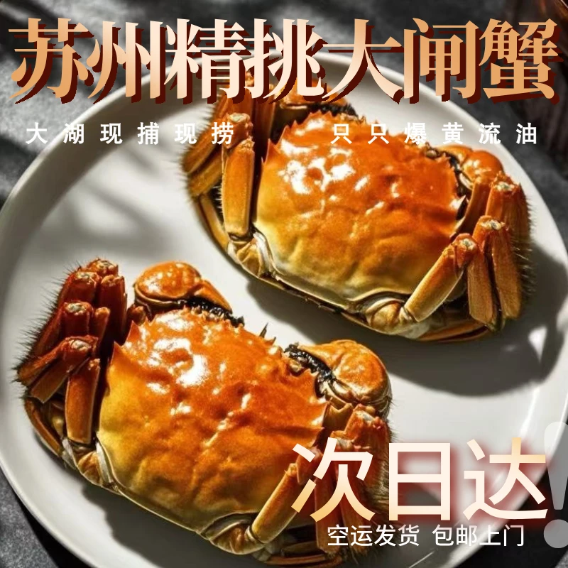 【活蟹】苏州大闸蟹精挑蟹全母蟹3.1-2.8两顺丰京东空运送货上门8/10只金标蟹包邮江苏苏州大闸蟹