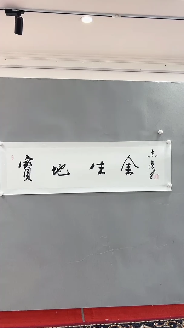 【闪购商品】书法雅艺典藏文化书法