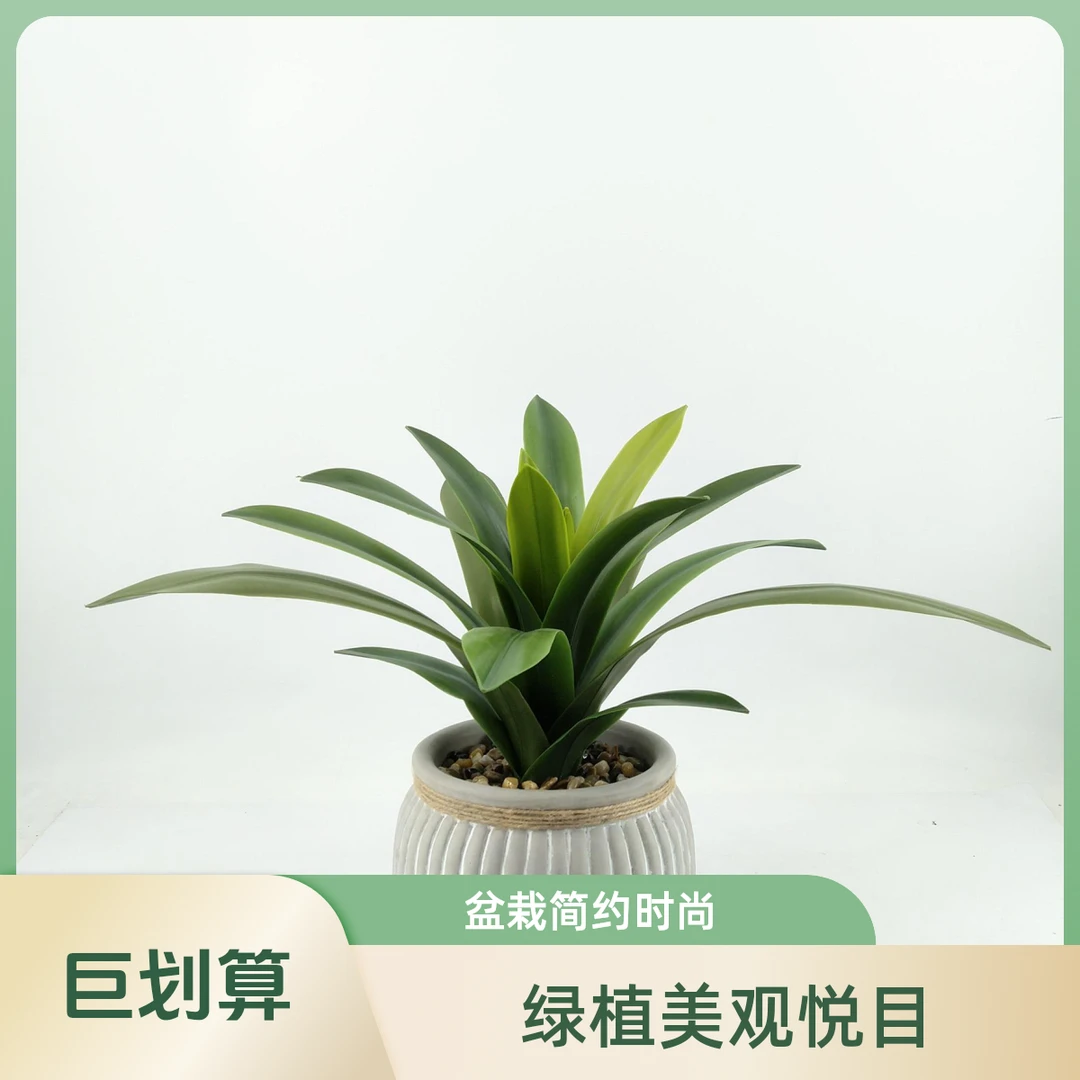 仿真君子兰盆栽麻绳竖纹陶瓷盆绿植办公客厅装饰摆件免养护