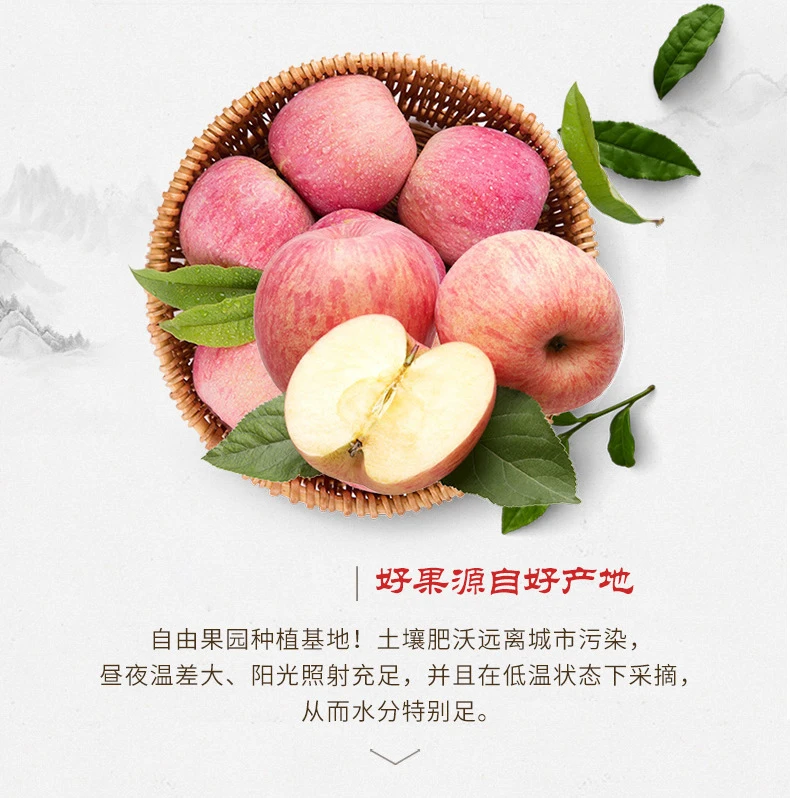 【新年礼盒】正宗陕西洛川红富士苹果新鲜水果脆甜多汁产地直发