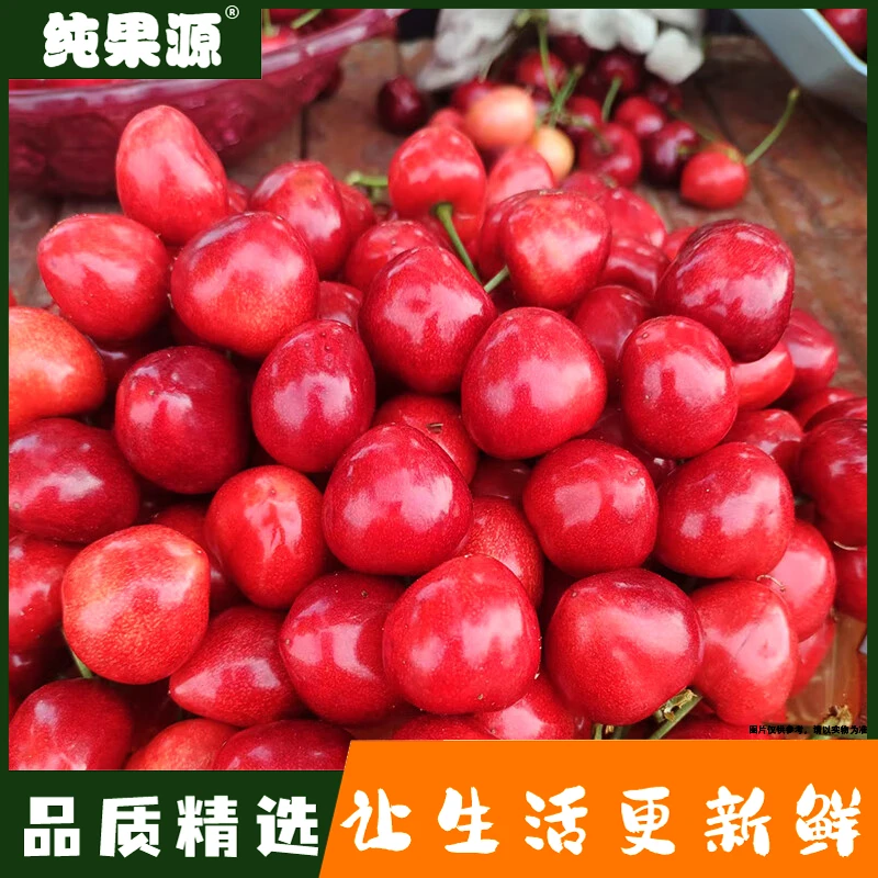 【纯果源小时达】沙美特樱桃/2JJ【1斤装/2斤装】沙美特