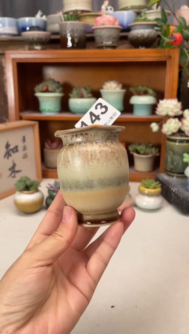 瓷片143知木小芳花盆