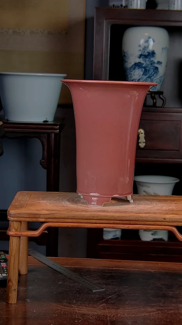 【闪购商品】红陶1