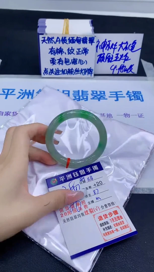 未镶嵌手镯翡翠11111
