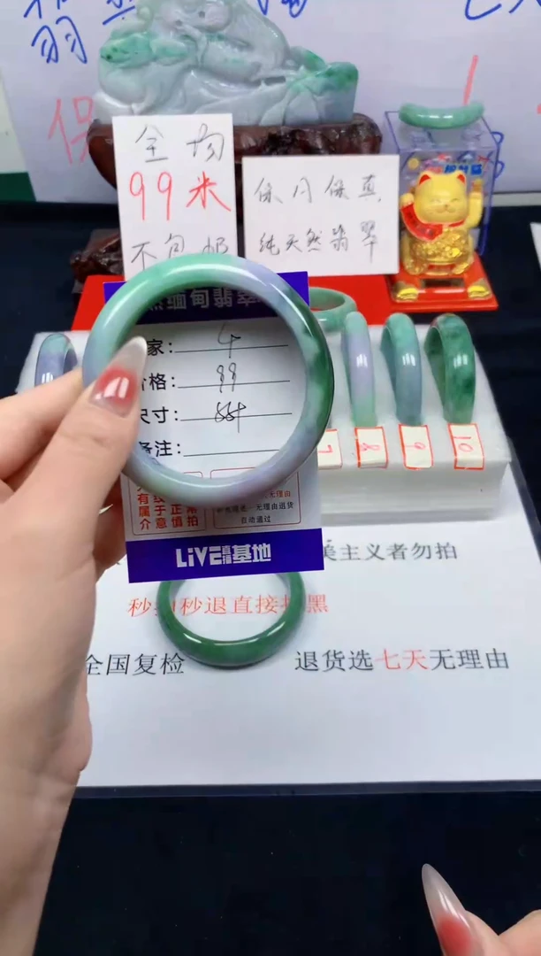 未镶嵌手镯翡翠4