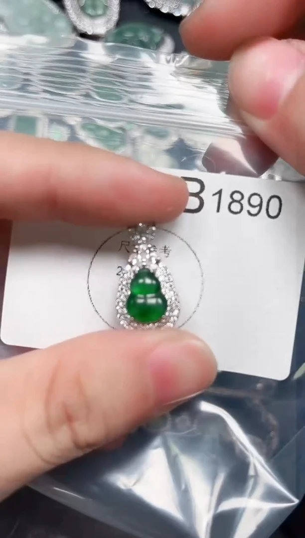 【闪购商品】翡翠颈饰未镶嵌赠皮绳1890