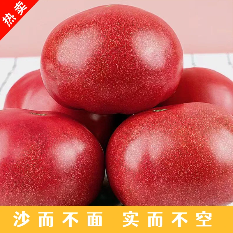 爆汁沙瓤西红柿可生吃有籽新鲜自然成熟果味浓郁大番茄粉果农家