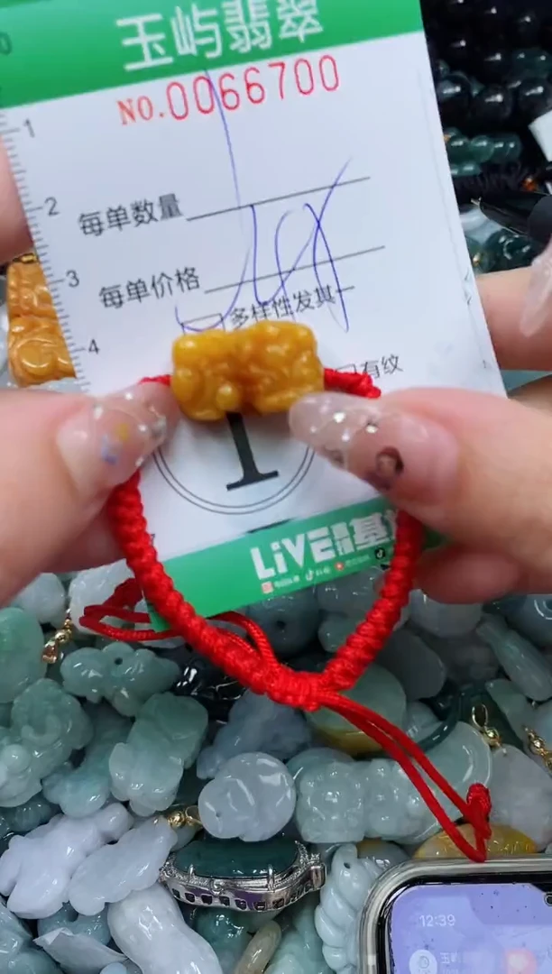 【闪购商品】翡翠颈饰未镶嵌闪购0066700多样性发其一