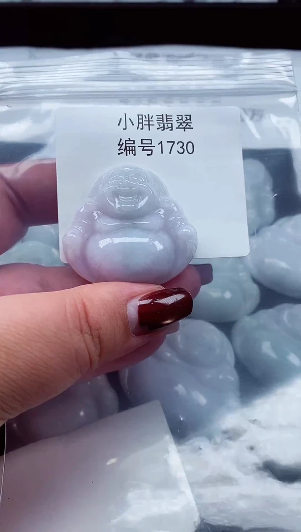 颈饰未镶嵌翡翠缅甸天然A货翡翠1730