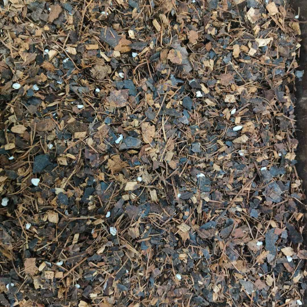 特级橡树叶通用型营养土（百花通用）