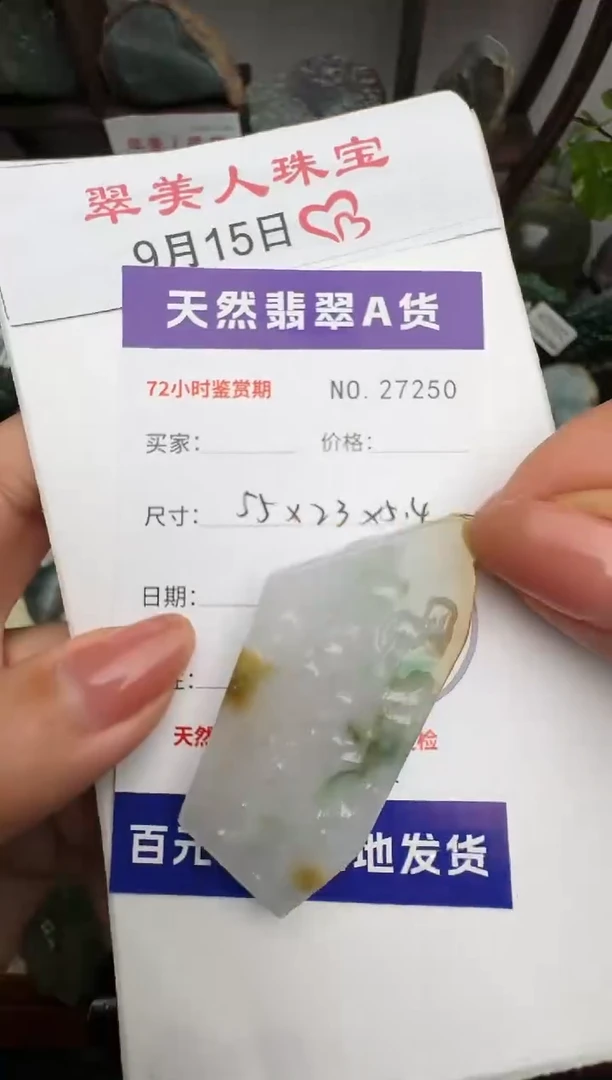 颈饰未镶嵌翡翠原石27250