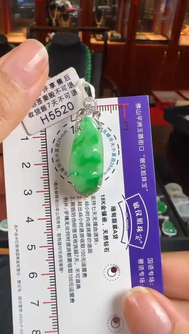 颈饰18K金镶嵌翡翠H5520富贵豆