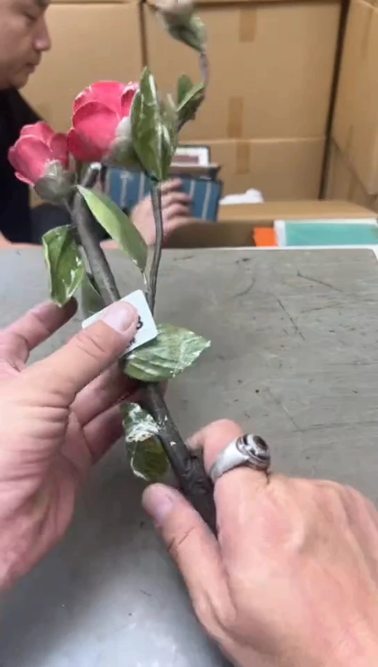 瓷片978聚宝缘优品精选