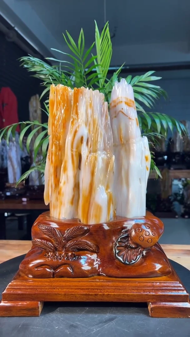 未镶嵌硅化玉（树化玉）珠宝奇石0516（高度37厘米）