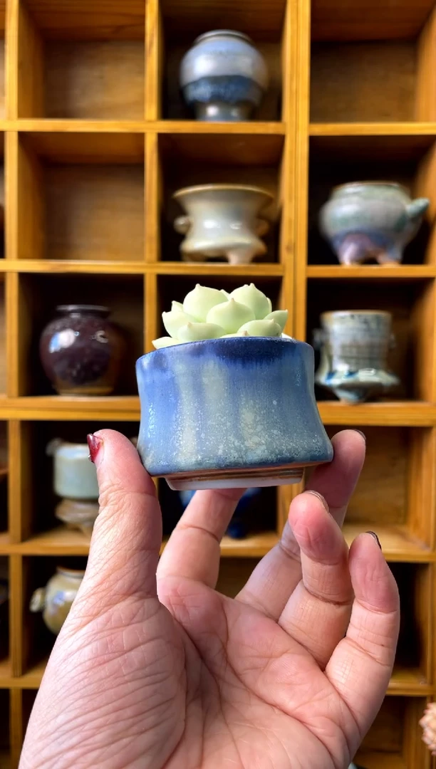 【闪购商品】陶105