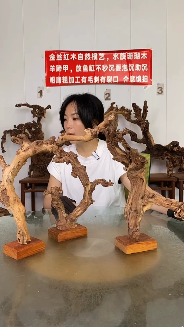 香榧木罗*金丝红木   羊蹄甲