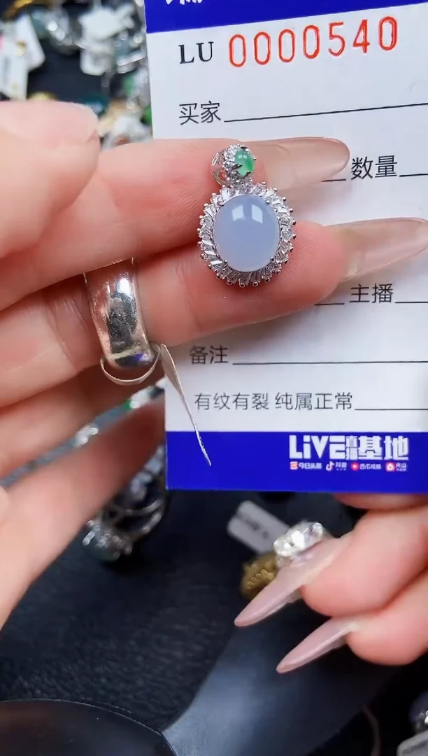 翡翠银S925镶嵌颈饰0540