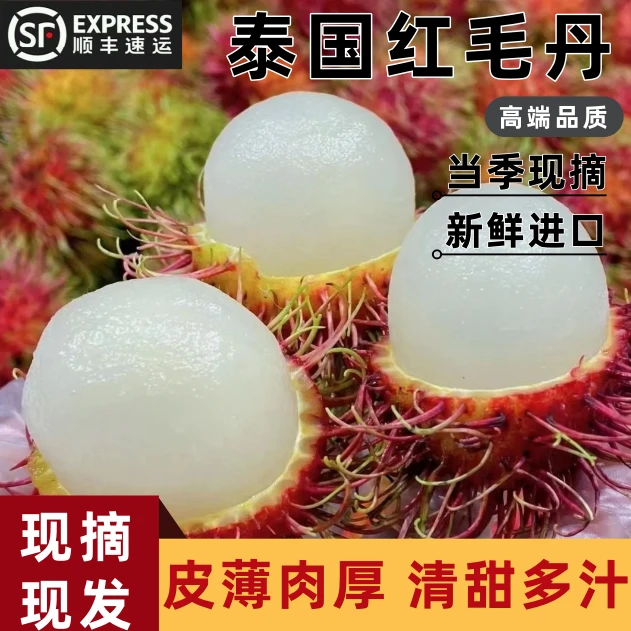 【顺丰冷链】甄选精品泰国老树红毛丹当季热带水果新鲜采摘坏果包赔