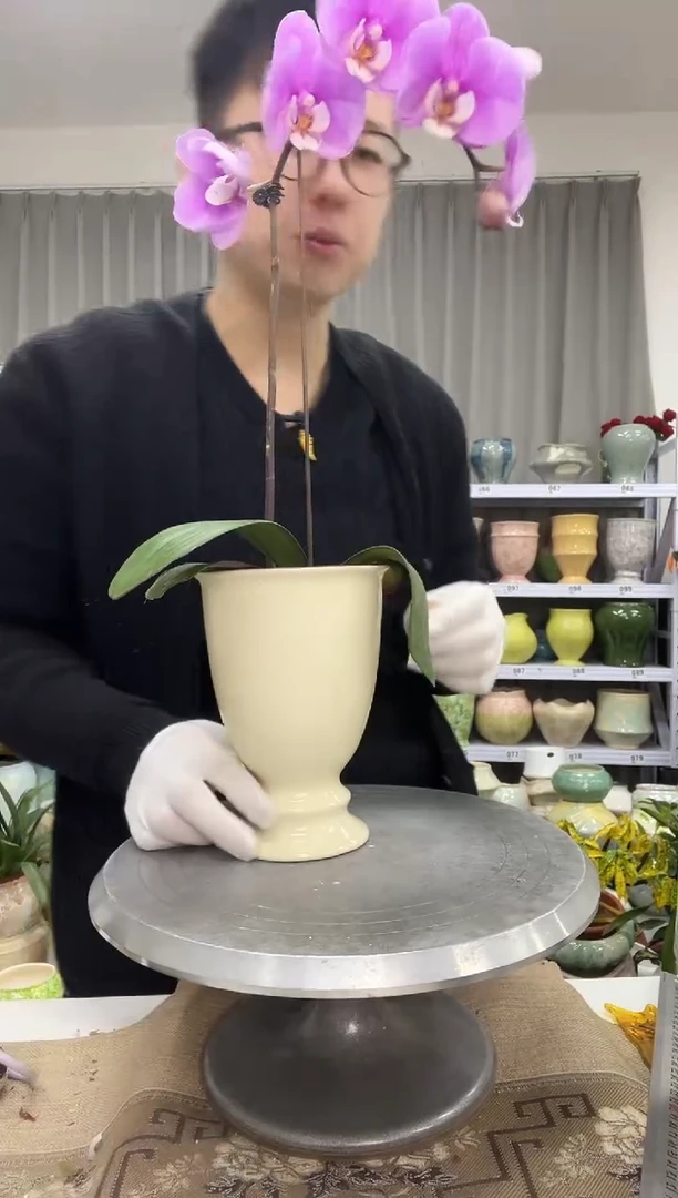 1.5花盆尺寸高：   17 口： 11