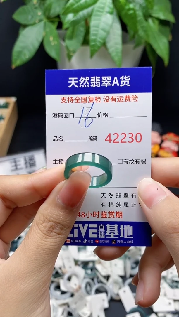 翡翠戒指未镶嵌 天然翡翠戒圈2230