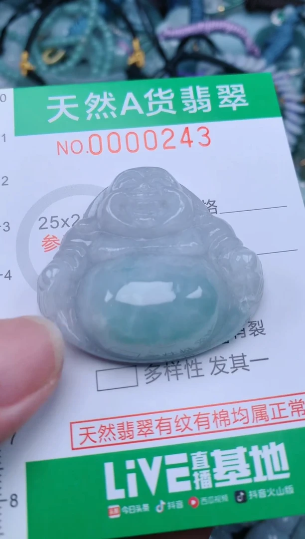 翡翠未镶嵌颈饰.0000243