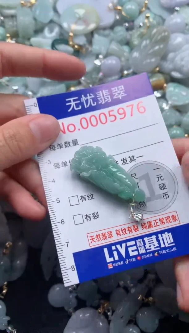 颈饰未镶嵌翡翠5976