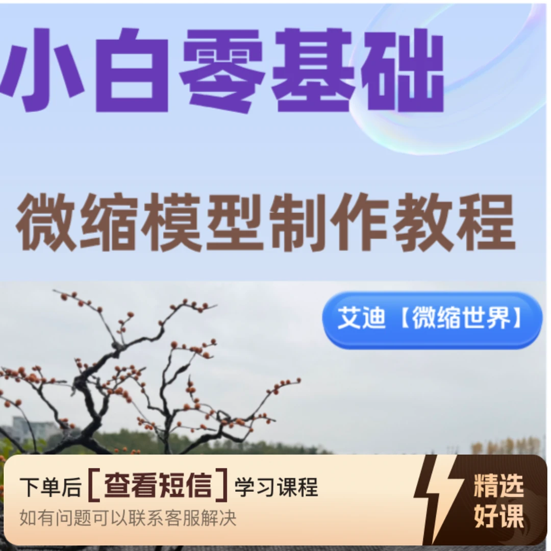 艾迪微缩模型老家复原零基础学习课程（留意短信解锁课程）
