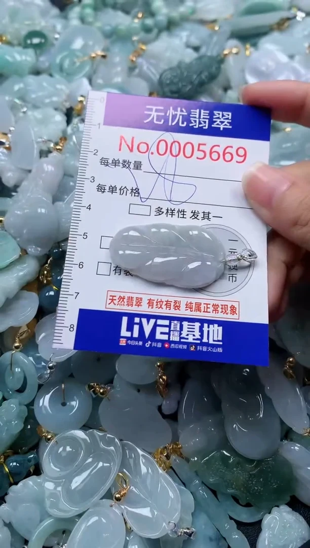 颈饰未镶嵌翡翠5669