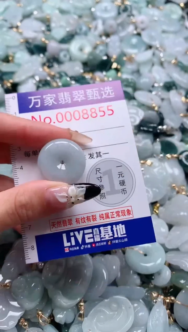 翡翠未镶嵌颈饰8855