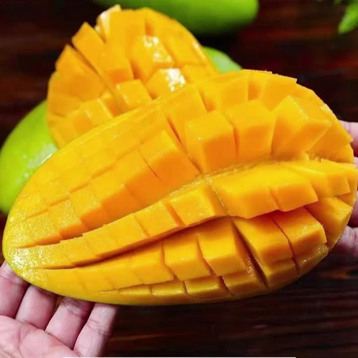 【礼盒特惠装】海南金煌芒 当季新鲜 现采现发