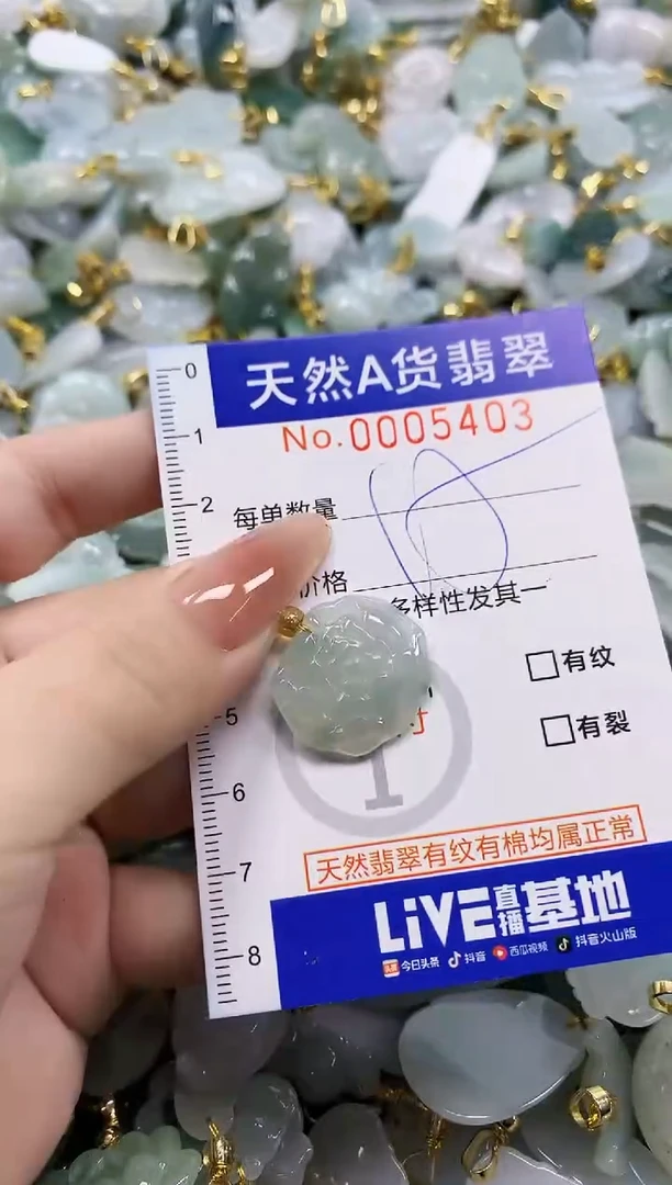 颈饰未镶嵌翡翠天然A货翡翠