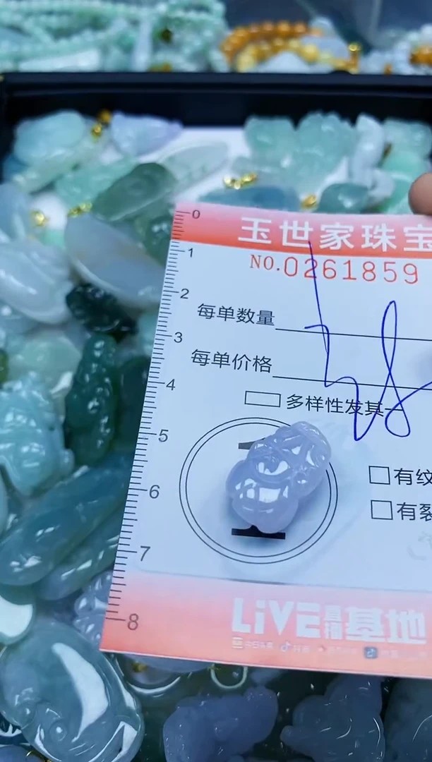 翡翠未镶嵌颈饰闪购0261859