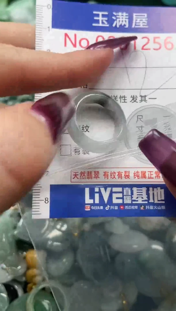 颈饰未镶嵌翡翠1256