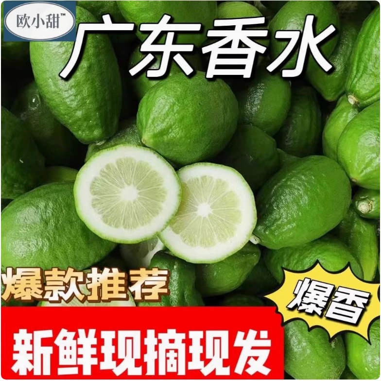 欧小甜广东香水柠檬【家庭装】果园现摘新鲜直发浓香奶茶柠檬茶泡水