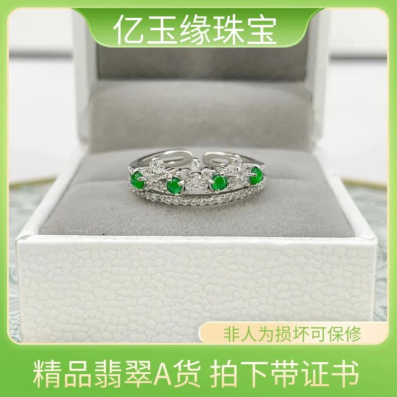 A货翡翠戒指时尚百搭气质轻奢豪华满绿排戒小众珠宝银镀戒指TF008