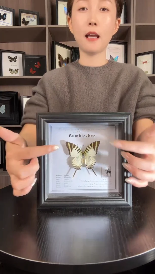 实木竖款绿凤蝶（蝴蝶装饰画6寸框）