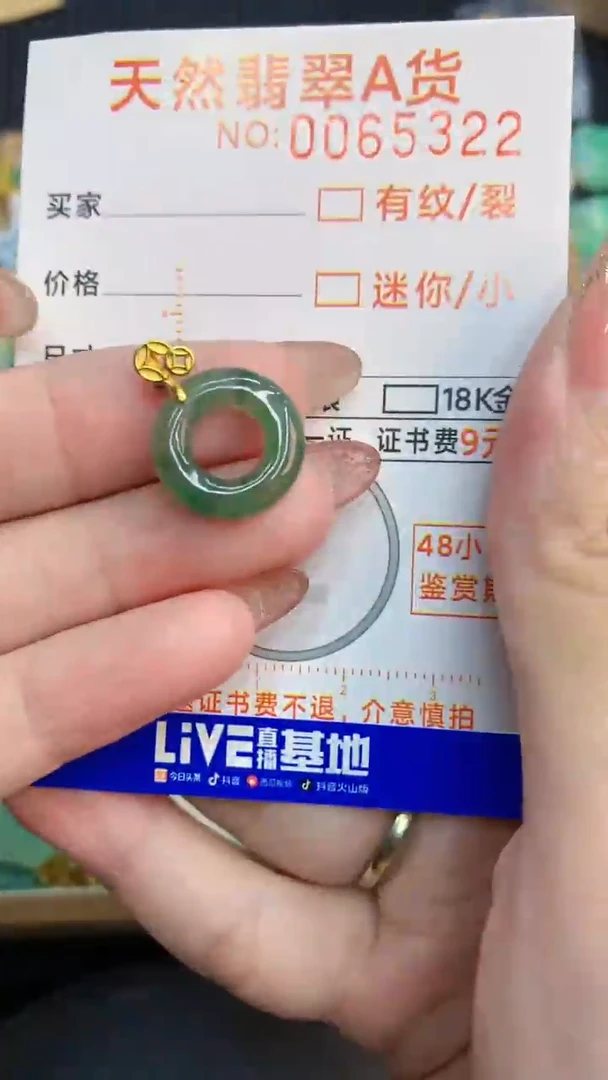 翡翠银S925镶嵌颈饰            8