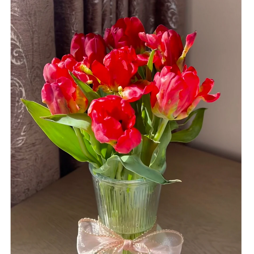【云舍花卉】【方德】【红金刚郁金香】 全场任意满两单及以上鲜花包邮