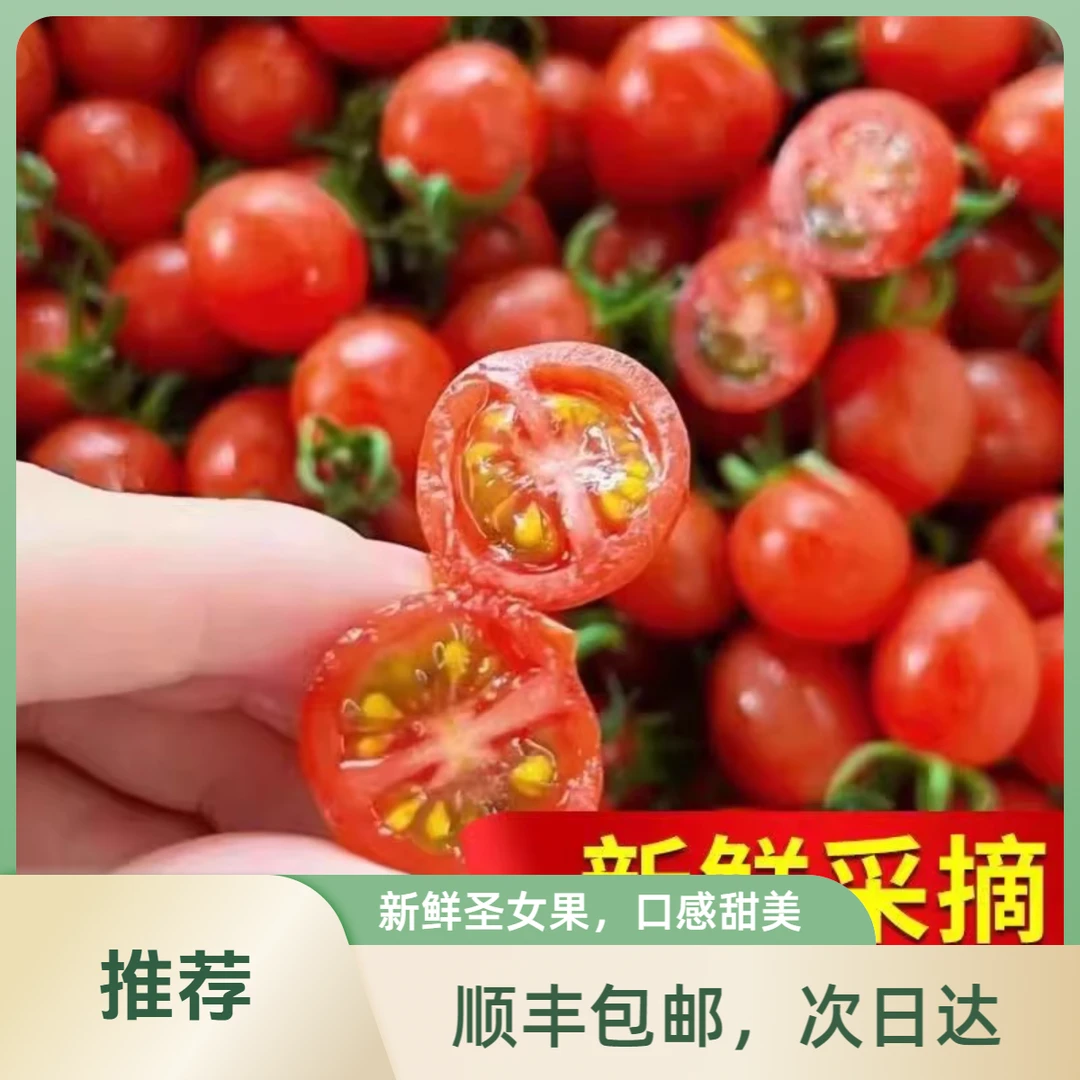 【红星天天甄选】广州电白千禧2斤±100克【顺丰包邮次日达】千禧圣女果广东省