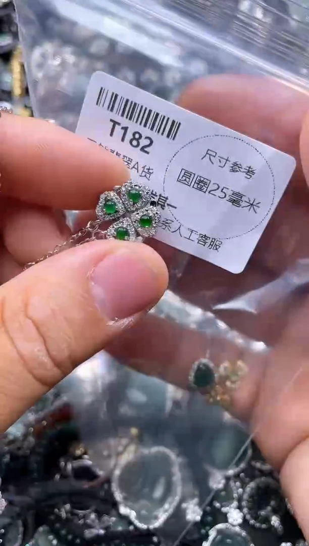 【闪购商品】翡翠颈饰未镶嵌T182项链