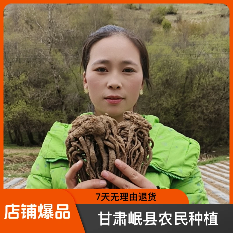 甘肃岷县农民种植当归无添加250克包邮