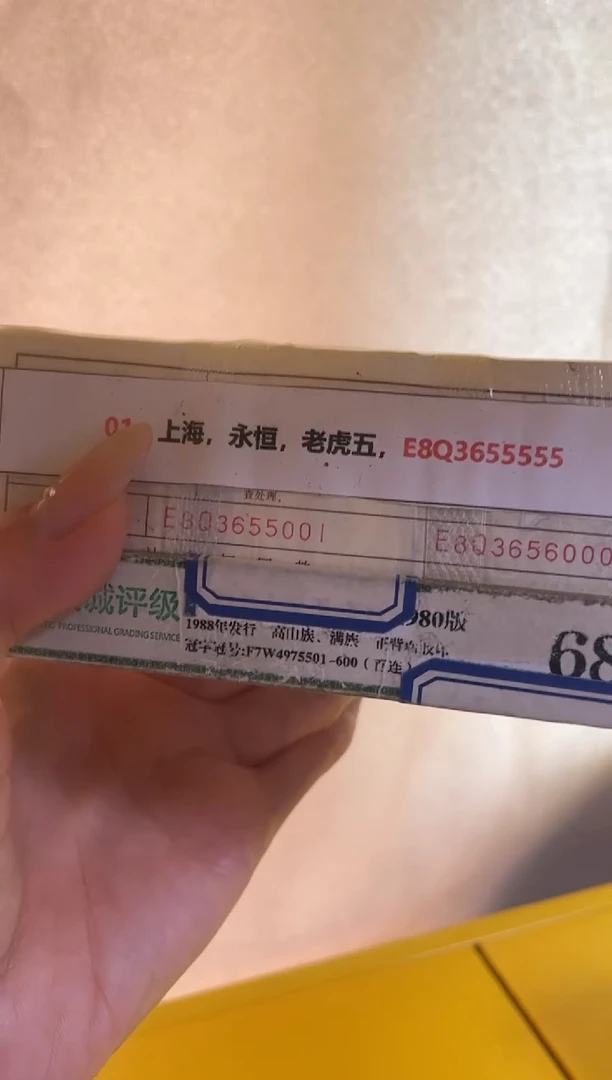 M 01，上海，永恒，老虎五，E8Q3655555