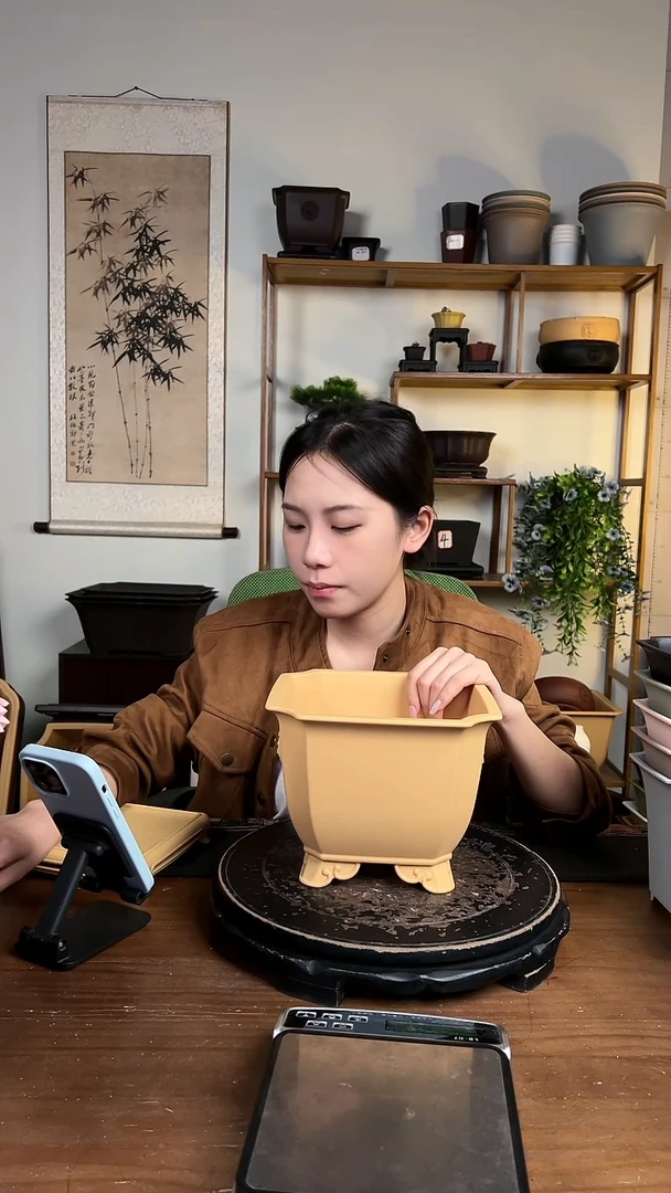 21*16切角狮头10只不带底座紫檀色