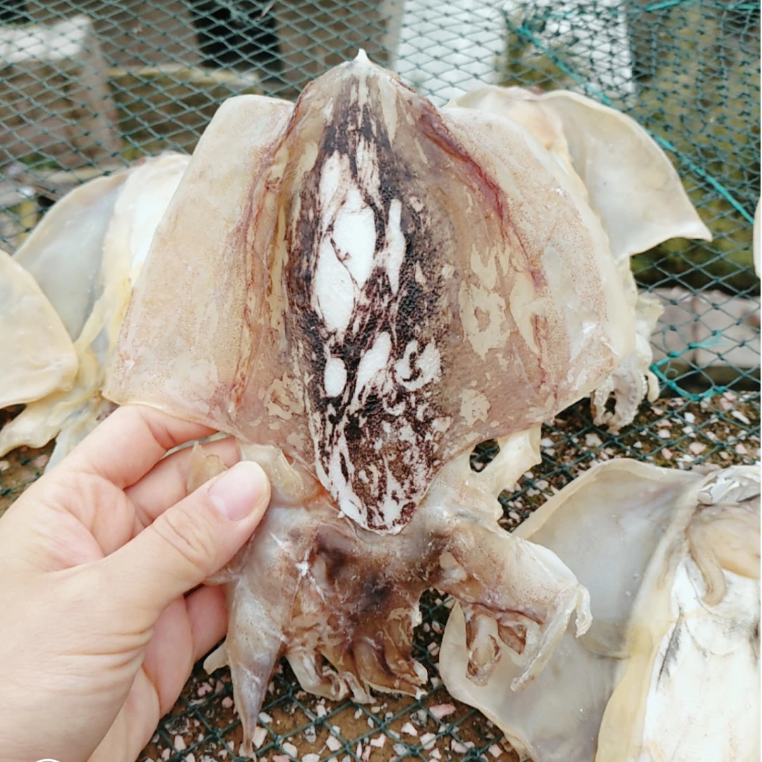 淡晒墨鱼干 9成干 深海川岛渔民自晒 海味干货煲汤新鲜靓料