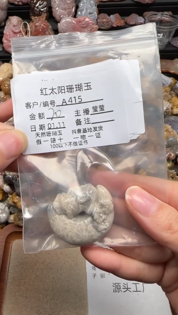 【闪购商品】硅化珊瑚（珊瑚玉）颈饰未镶嵌415