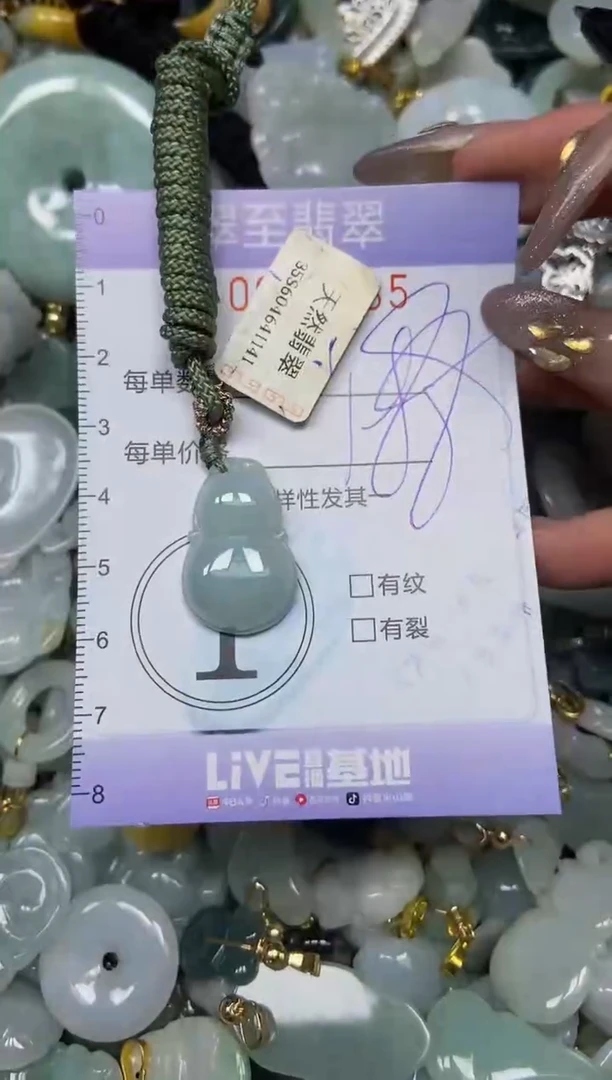 【闪购商品】翡翠颈饰未镶嵌闪购0021735