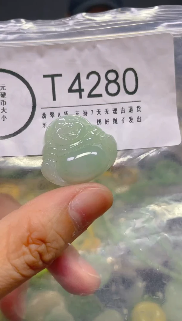 翡翠未镶嵌颈饰/T/翡翠A货,1件也是批发价