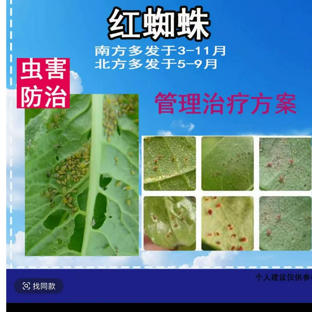 红蜘蛛防治专用剂