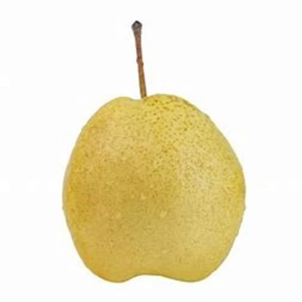 （顺丰包邮上楼）蜂糖梨    1箱-13斤左右